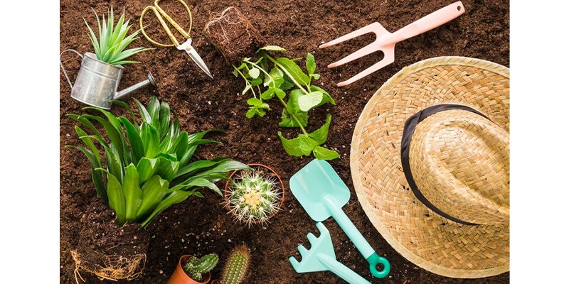 Plantas y elementos de jardinería en la tierra.